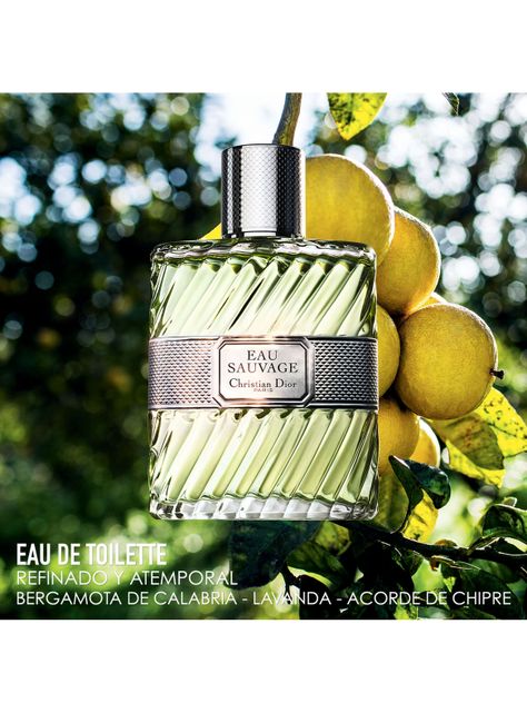 Perfume Dior Eau Sauvage Hombre EDT 100 ml-2