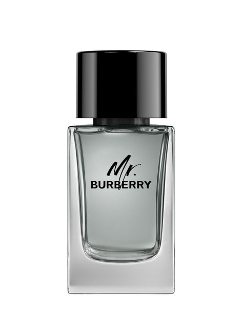 Perfume Burberry Mr. EDT For Him 100 ml-0