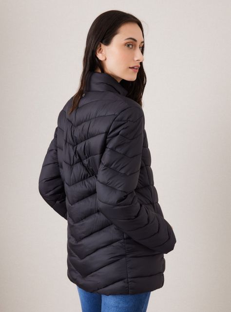 Parka Básica Entallada-1