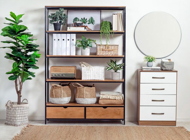 Planta Leaf Base Cemento-3