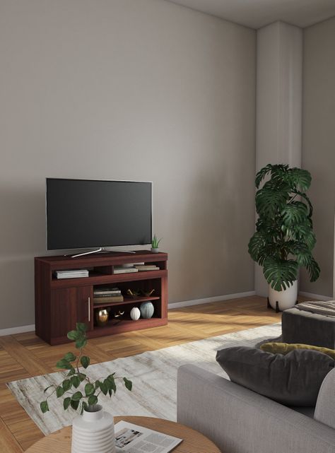 Rack CIC TV 46" Audio Ganges Cic-5