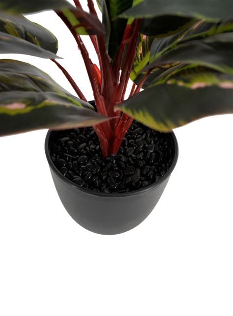 Planta Artificial Evergreen 35 cm-3
