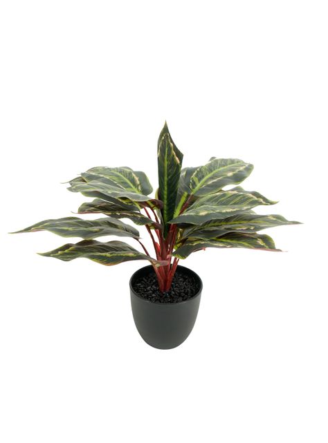 Planta Artificial Evergreen 35 cm-0