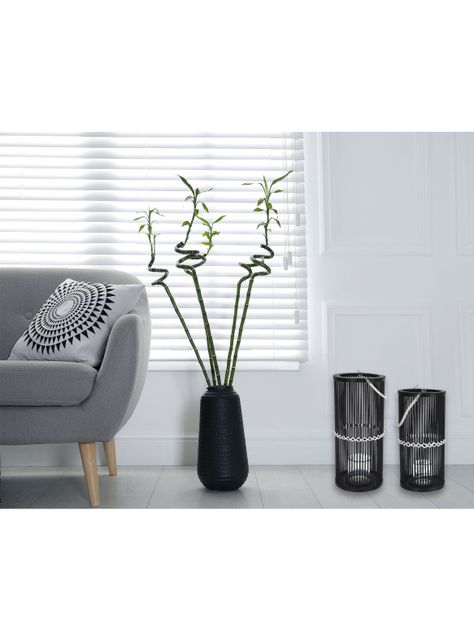 Fanal Negro Fibra 20x45 cm-1