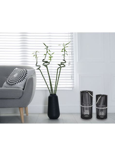 Fanal 17 cm Negro-1