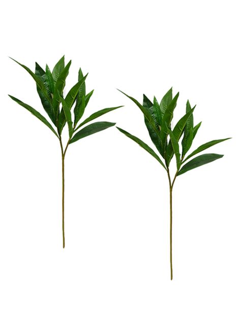 Rama de Frangipani 2 Piezas-0