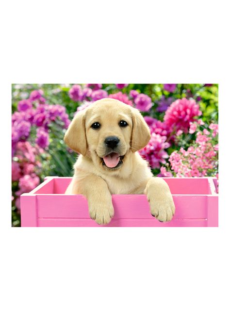 Ravensburger Puzzle Cachorros 2x24 Caramba-1