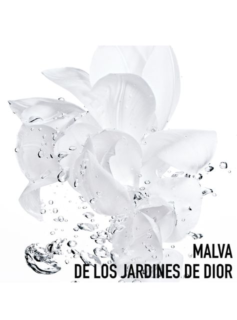 Tónico Dior Hydra Life Sorbet 175 ml-2