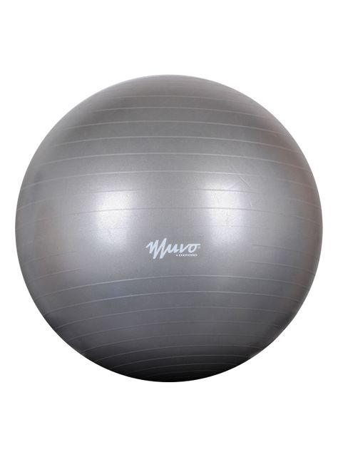 Pelota Gym 65 cm  x 1100G-0