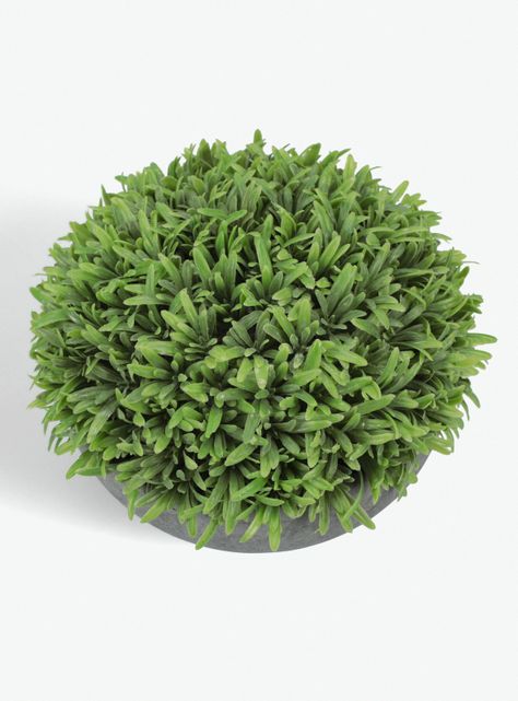 Arbusto Rosemary Bajo 19x19x16cm-1