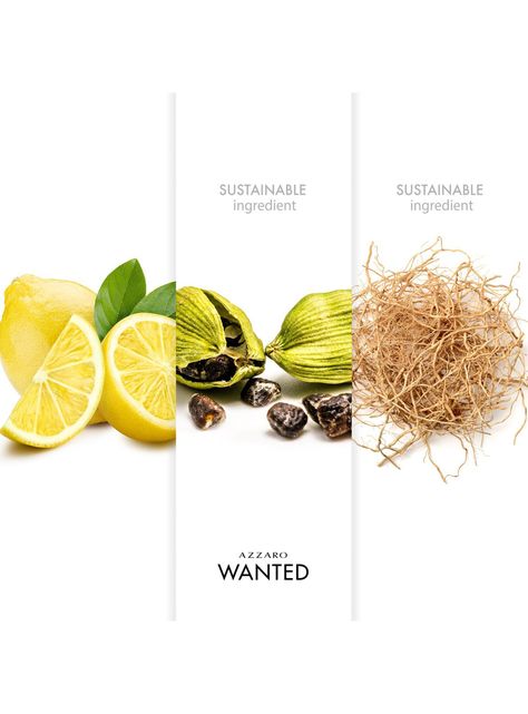 Perfume Azzaro Wanted Hombre EDT 100 ml-4