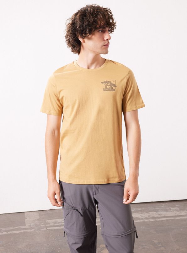 Amarillo Oscuro