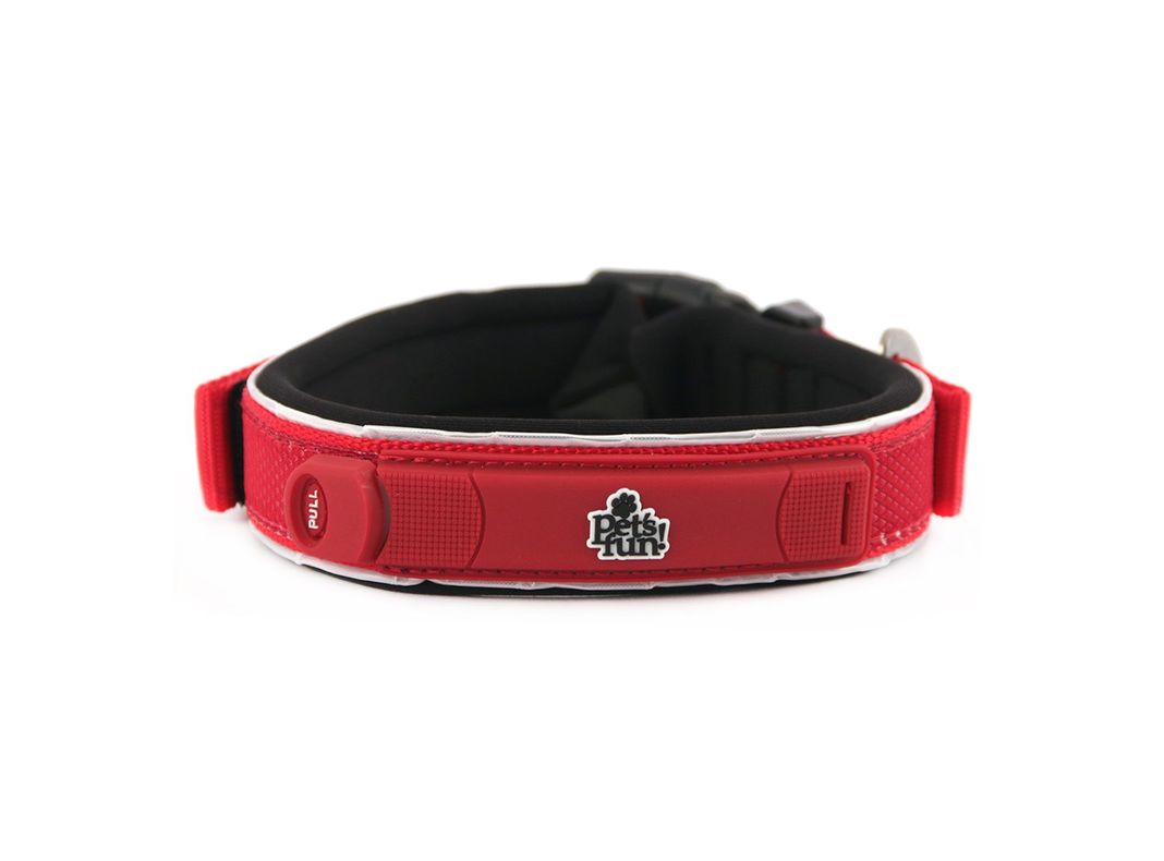 Collar perro S Extreme Pet's fun