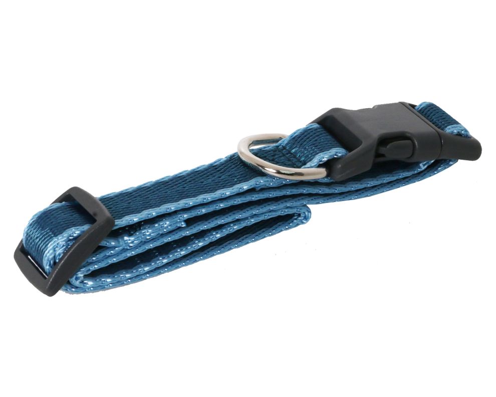 Collar perro M liso Pet's fun-13