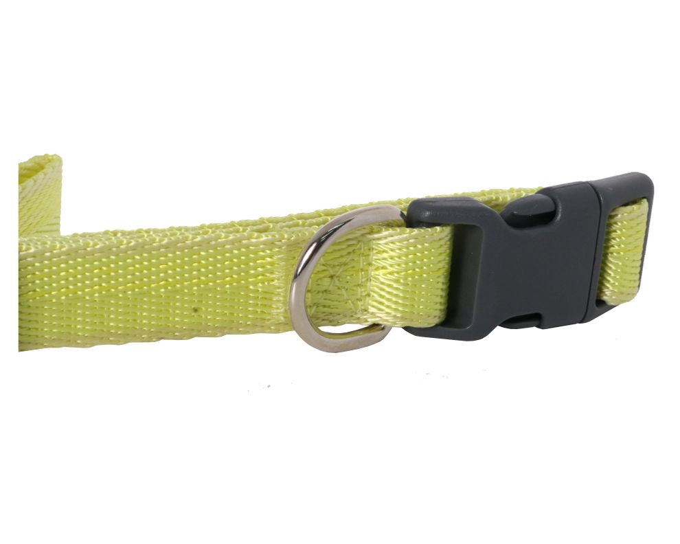 Collar perro M liso Pet's fun-10