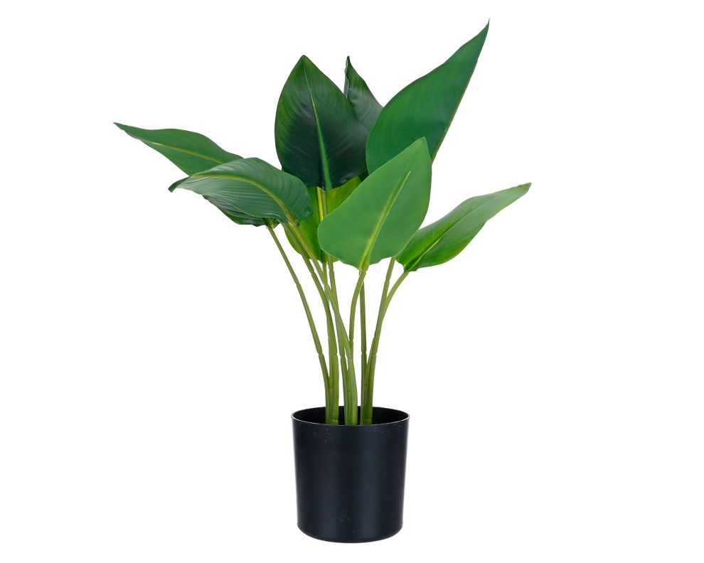 Planta artificial Strelitzia Outzen