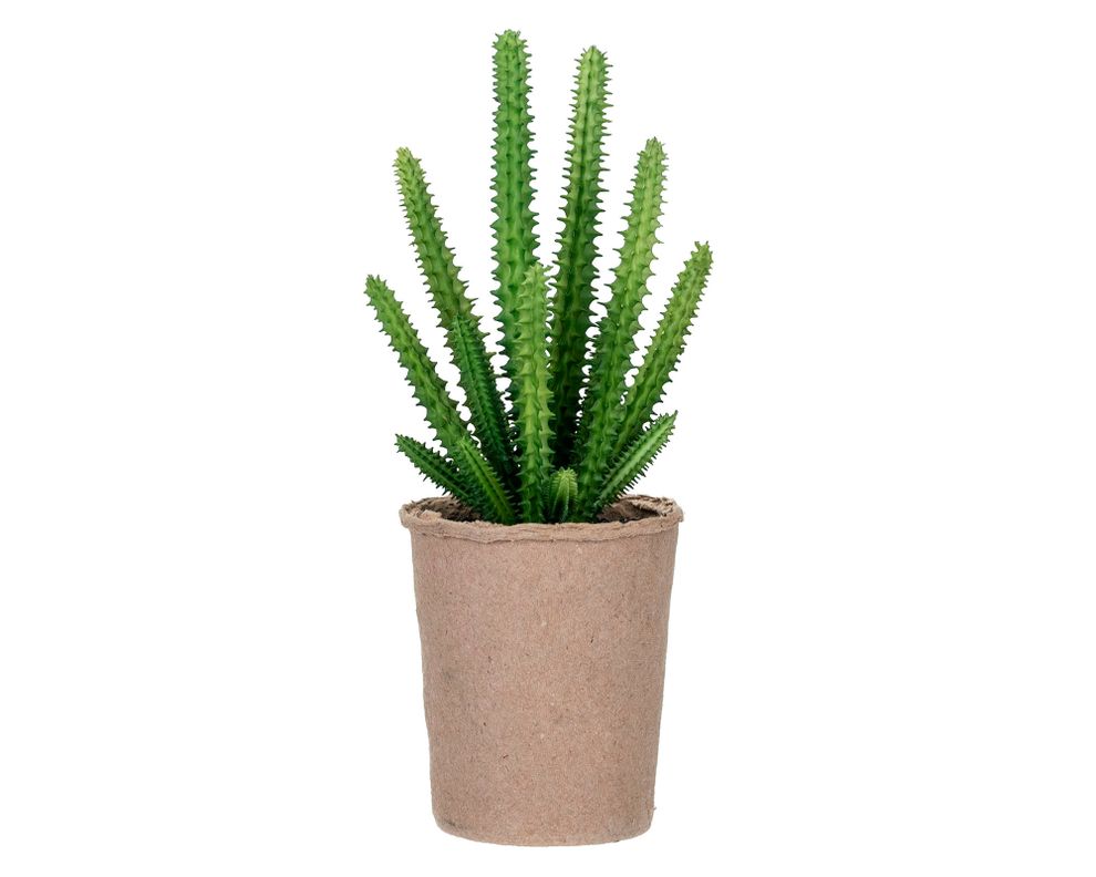 Suculenta artificial ramitas Outzen