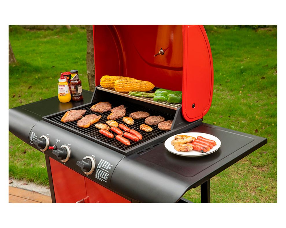 Parrilla a gas 3 quemadores Dakota-12