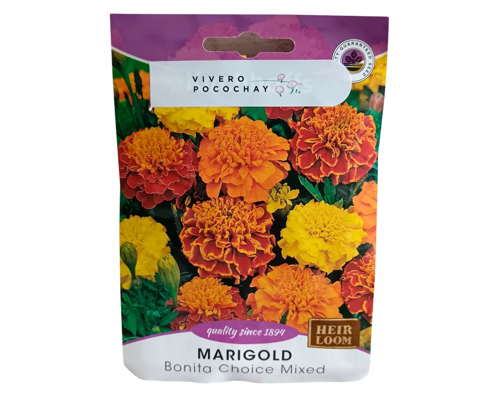 Semilla corriente Marigold Bonita 3 gr