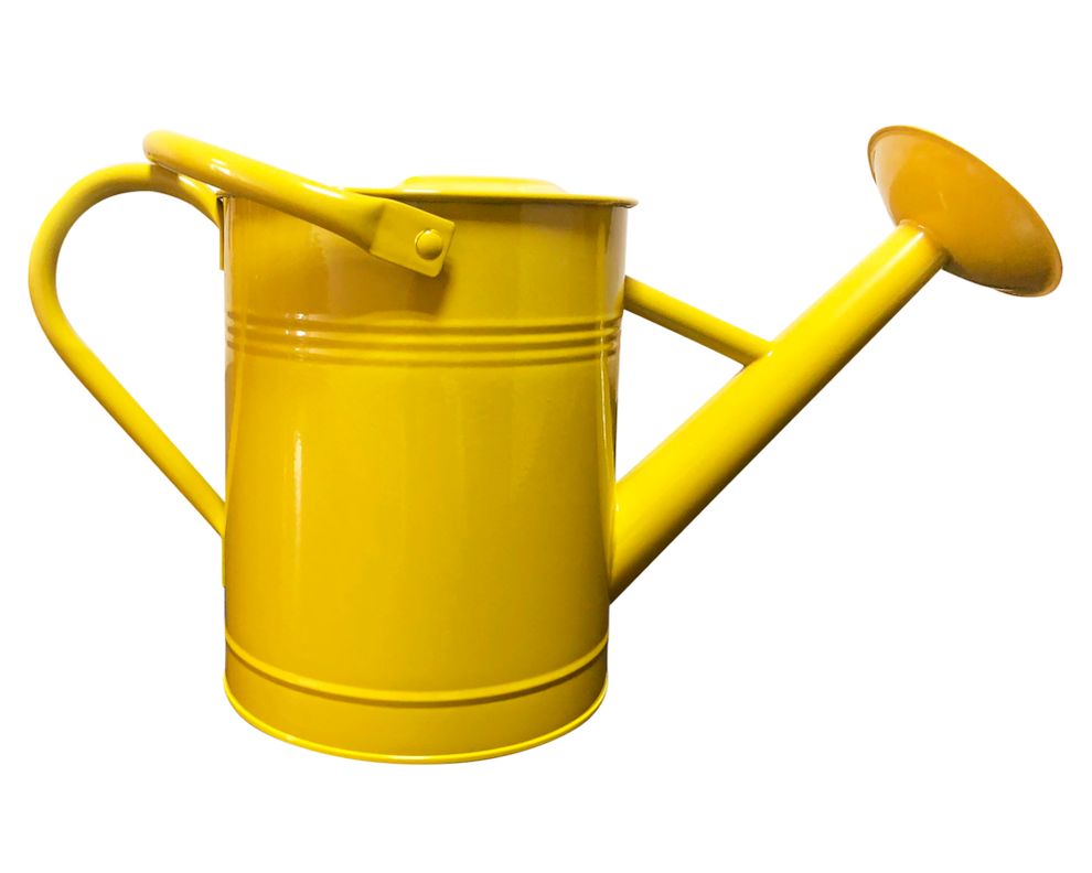 Regadera 3.5 lt