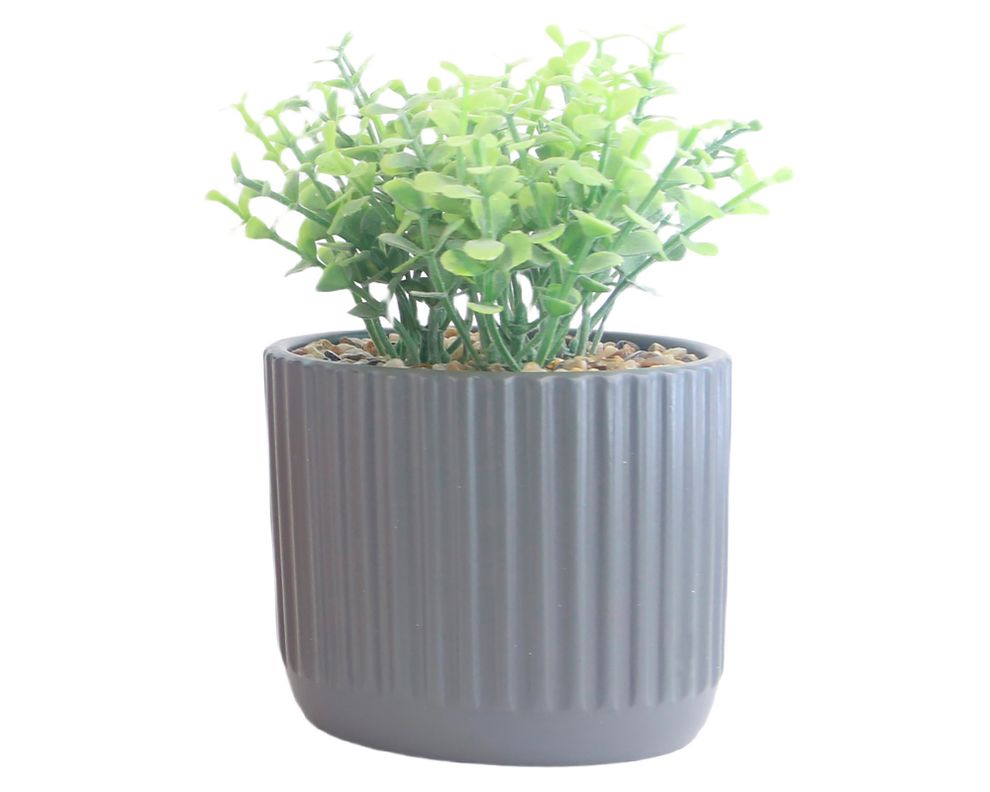 Maceta Amaranto gris 12 cm