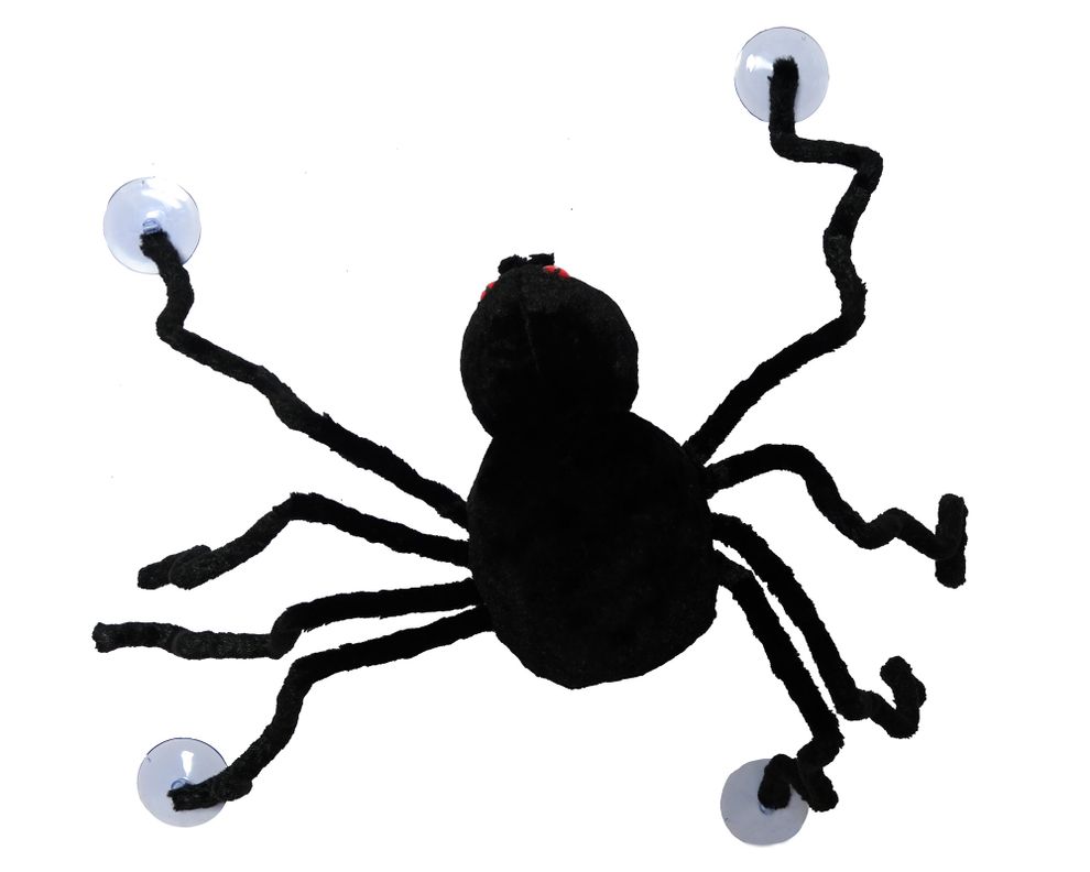 Araña con chupón Halloween