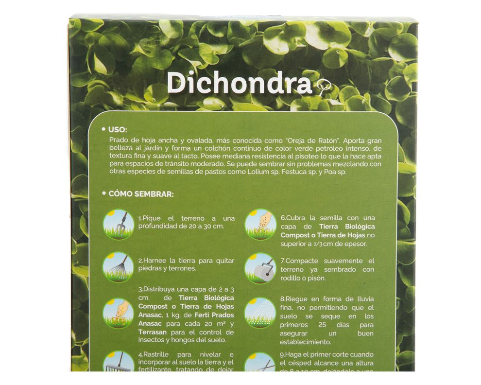 Semillas prado fina dichondra corriente 250g Anasac-3