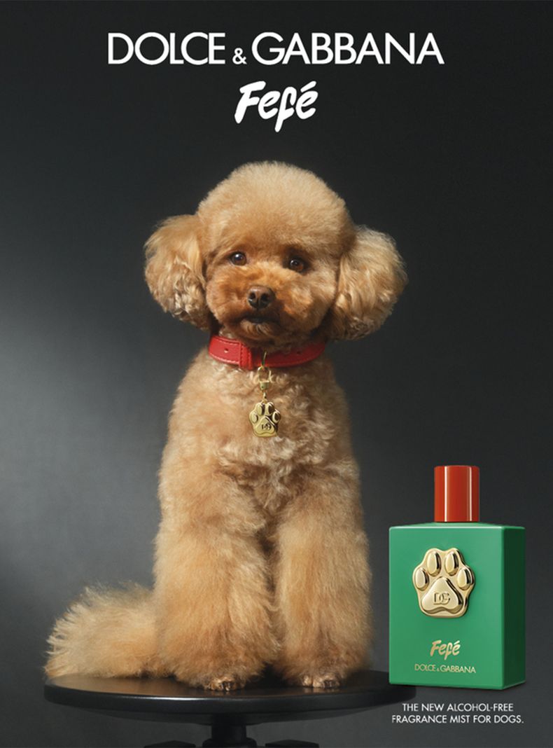  Perfume Fefé para Perros Libre de Alcohol 100 ml-2