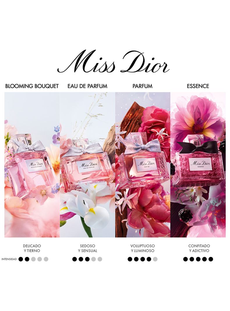 Dior Miss Dior 100ml & 10mlセット Set Perfume Miss Dior Eau de Parfum 100 ml + 10 ml DIOR | Paris.cl