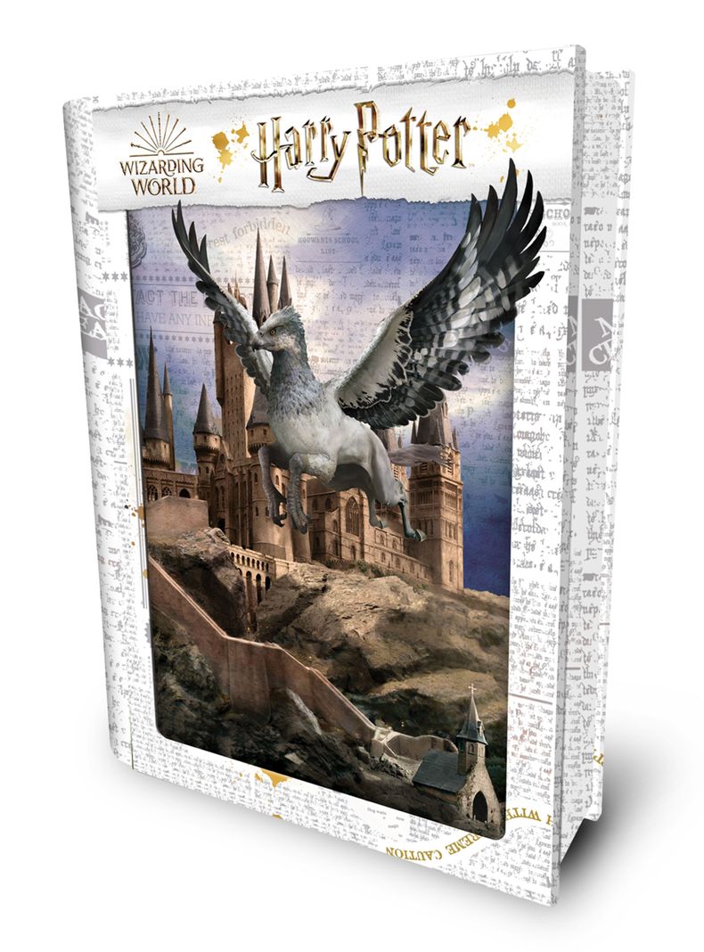 Puzzle 3D Harry Potter 100 Piezas