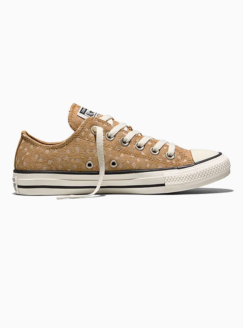 Zapatilla Urbana Logo T. All Star Unisex Cafe 36