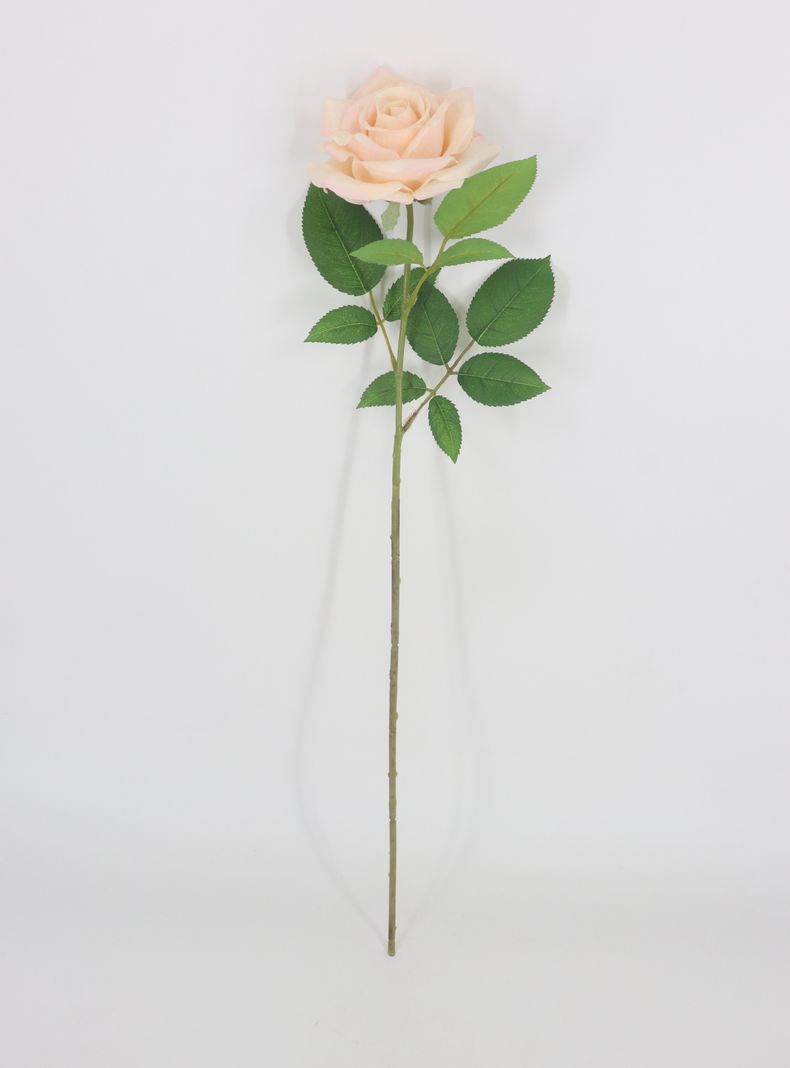 Flor Rosa Rosada