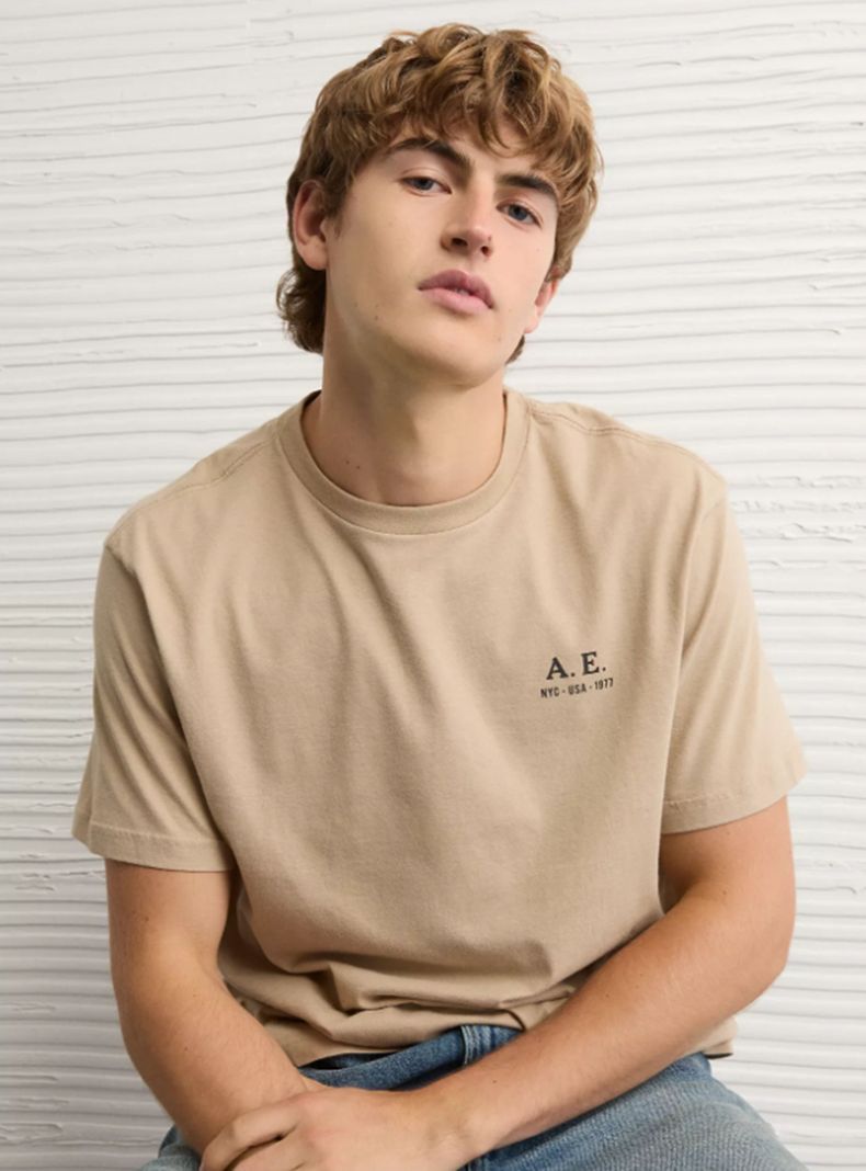 AMERICAN EAGLE POLERA AE GRÁFICO LOGO
