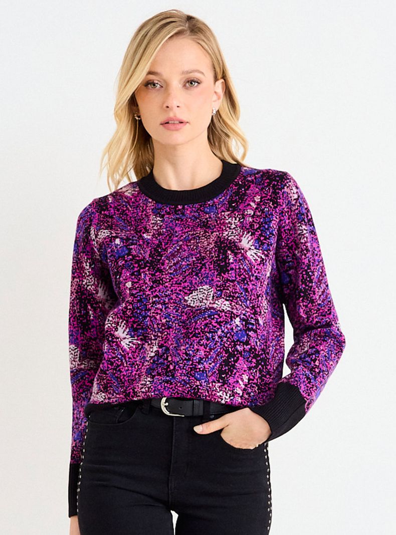 Sweater Fantasía Pic Art
