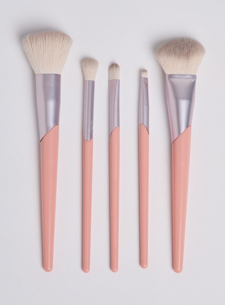 Set 5 Brochas para Rostro