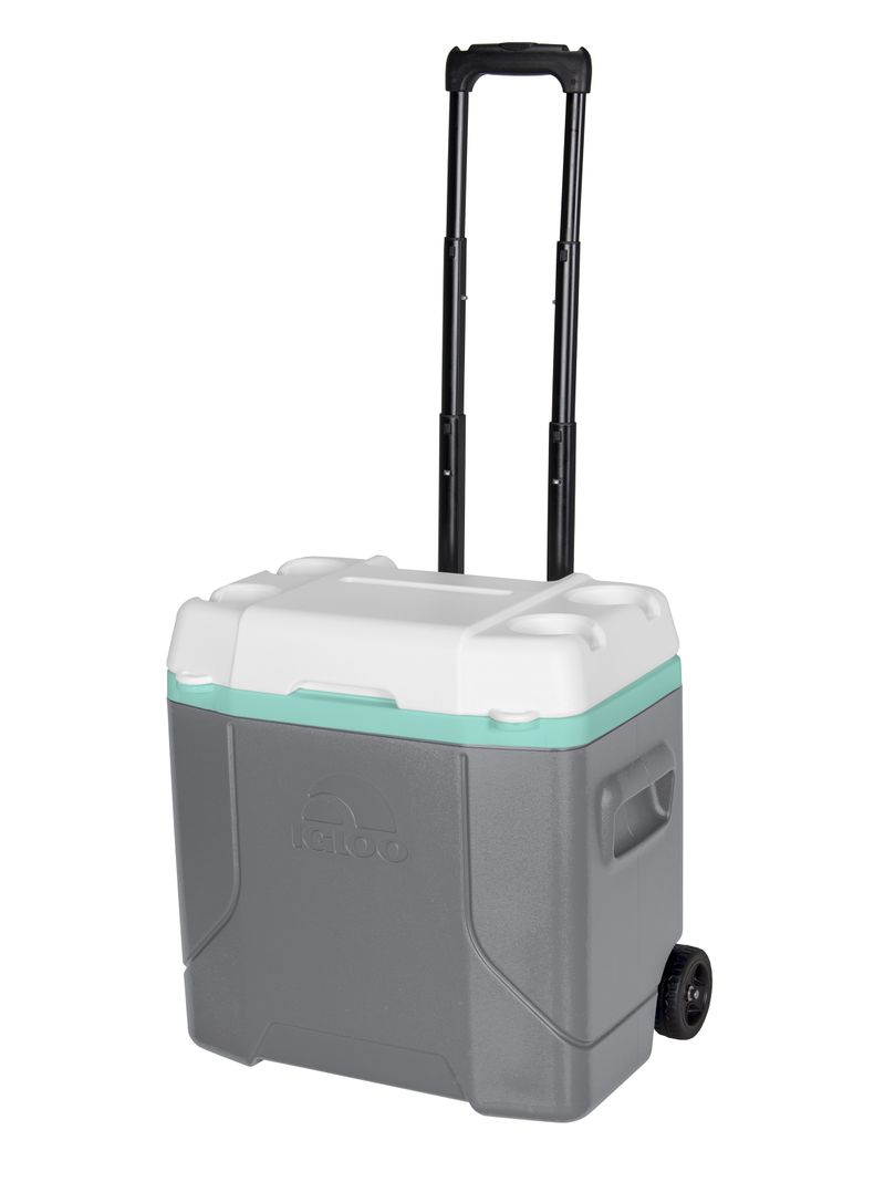 Cooler Igloo Profile R 30 Qt Gris-0