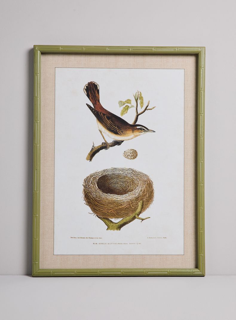 Cuadro Nido Pajaro 2
