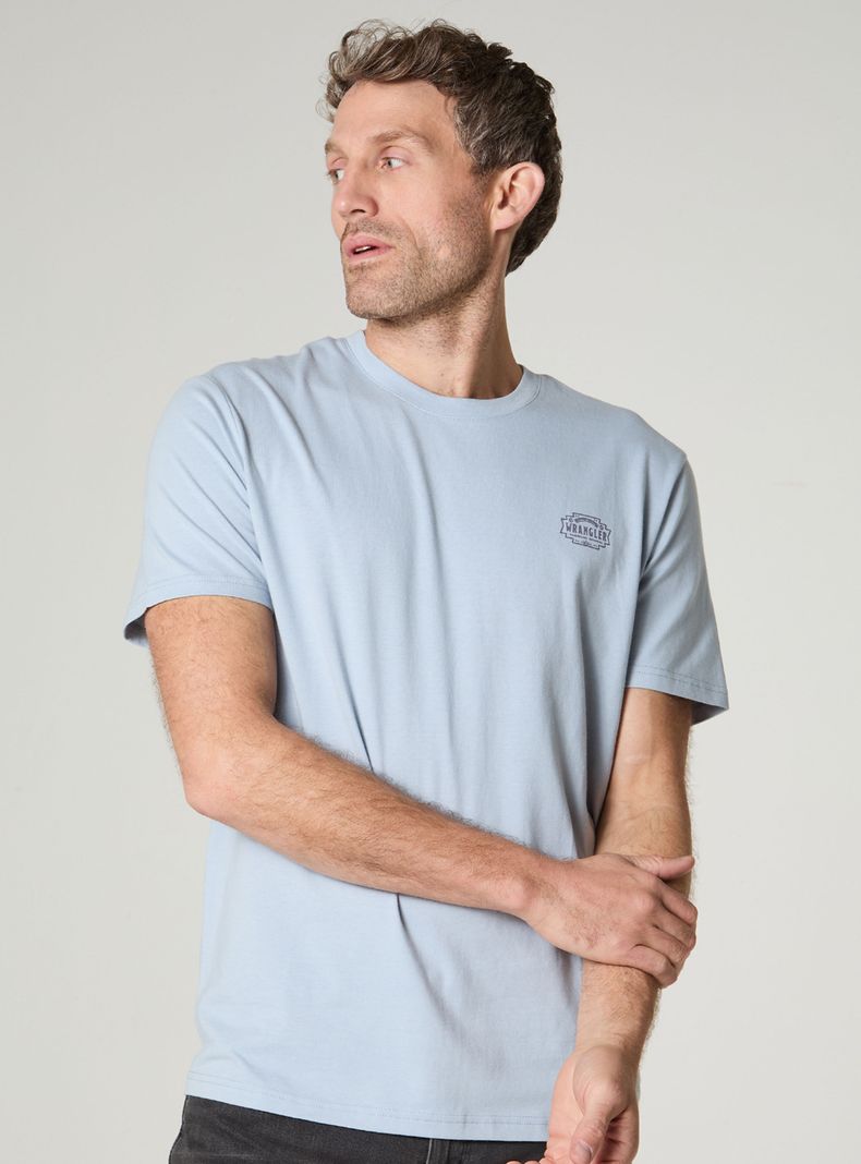 Polera Algodón Cuello Redondo Regular Manga Corta