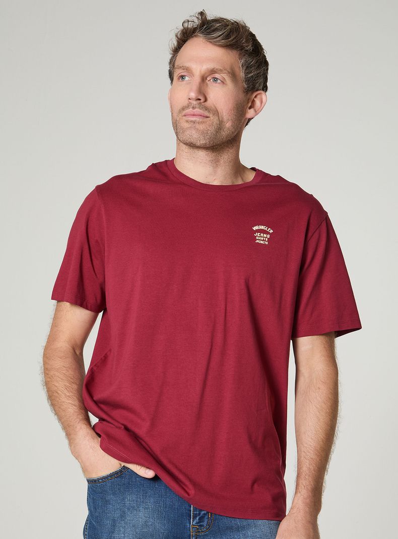 Polera Lisa con Logo Regular Manga Corta