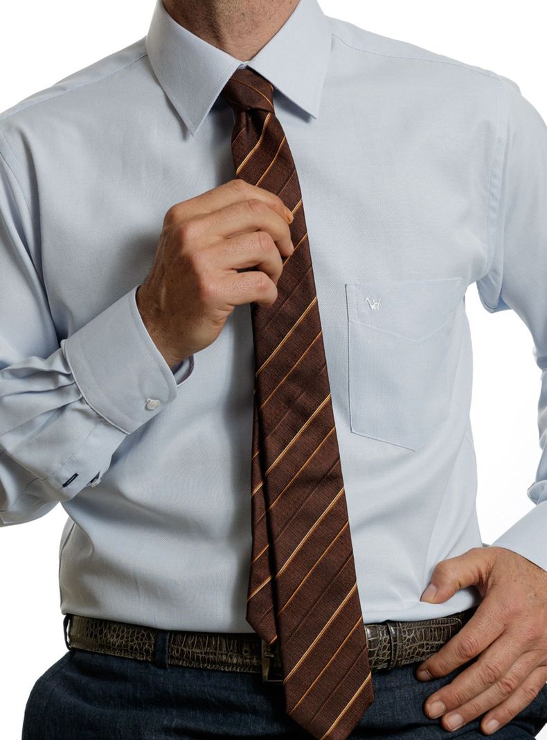 Camisa Cuello Romo Manga Larga Regular