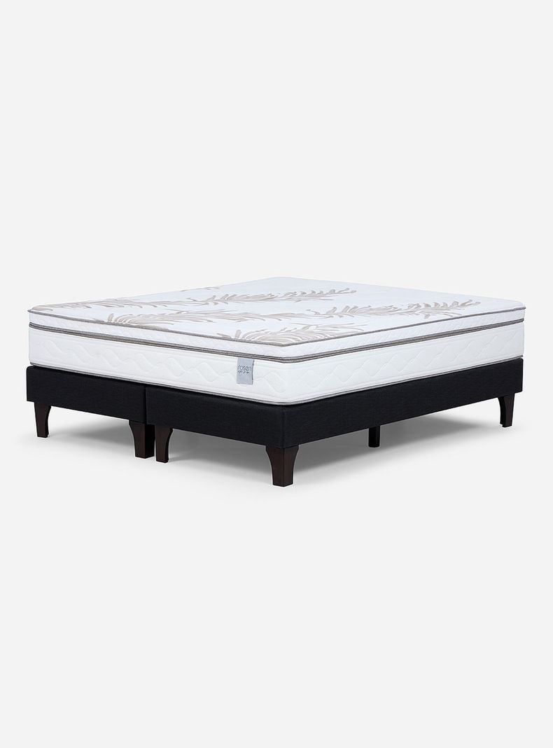 Box Spring 2 Plazas Neo Plus 1.50x2.00 cm Base Dividida