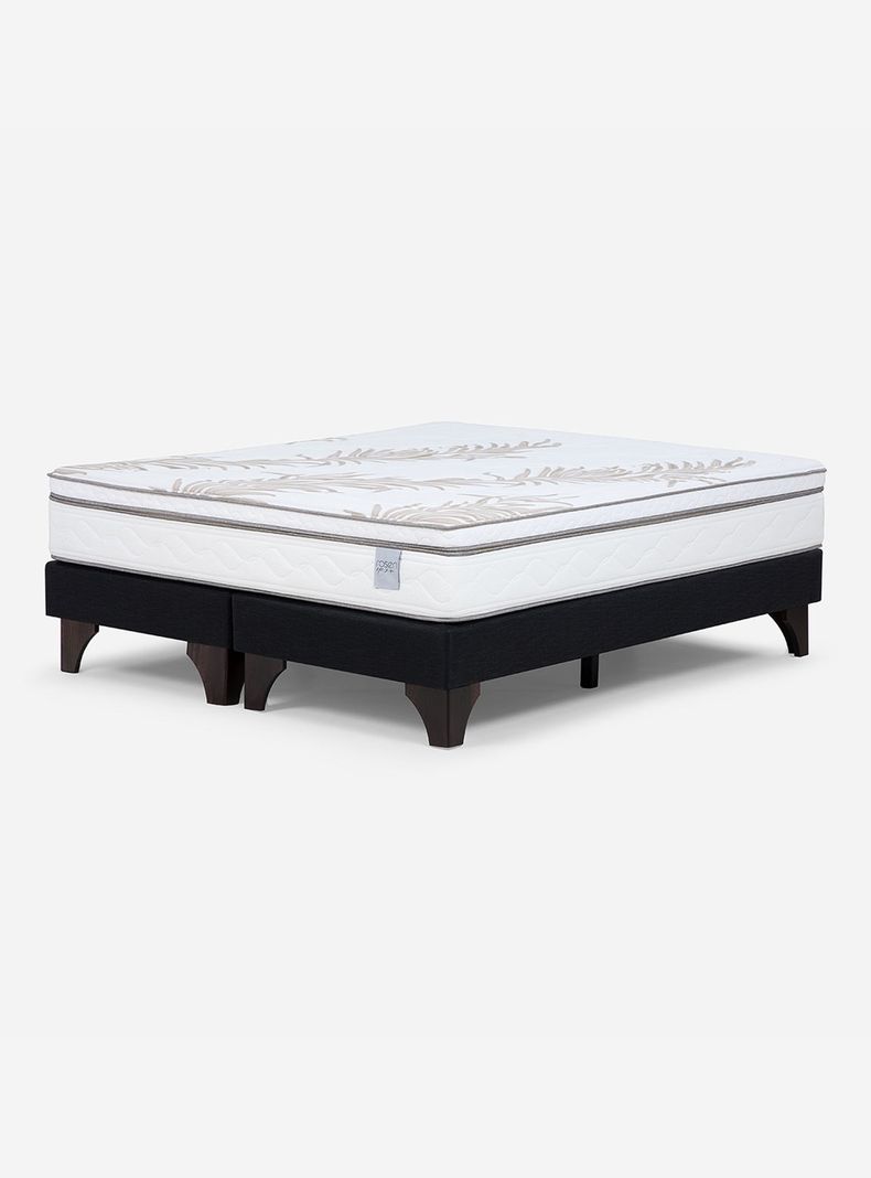 Cama Europea 2 Plazas Neo Plus 1.50x2.00 BD + Almohada Feel Microbira