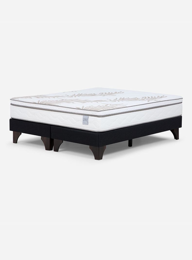 Cama Europea Súper King Neo Plus 2.00x2.00 + Almomadas Feel Micro