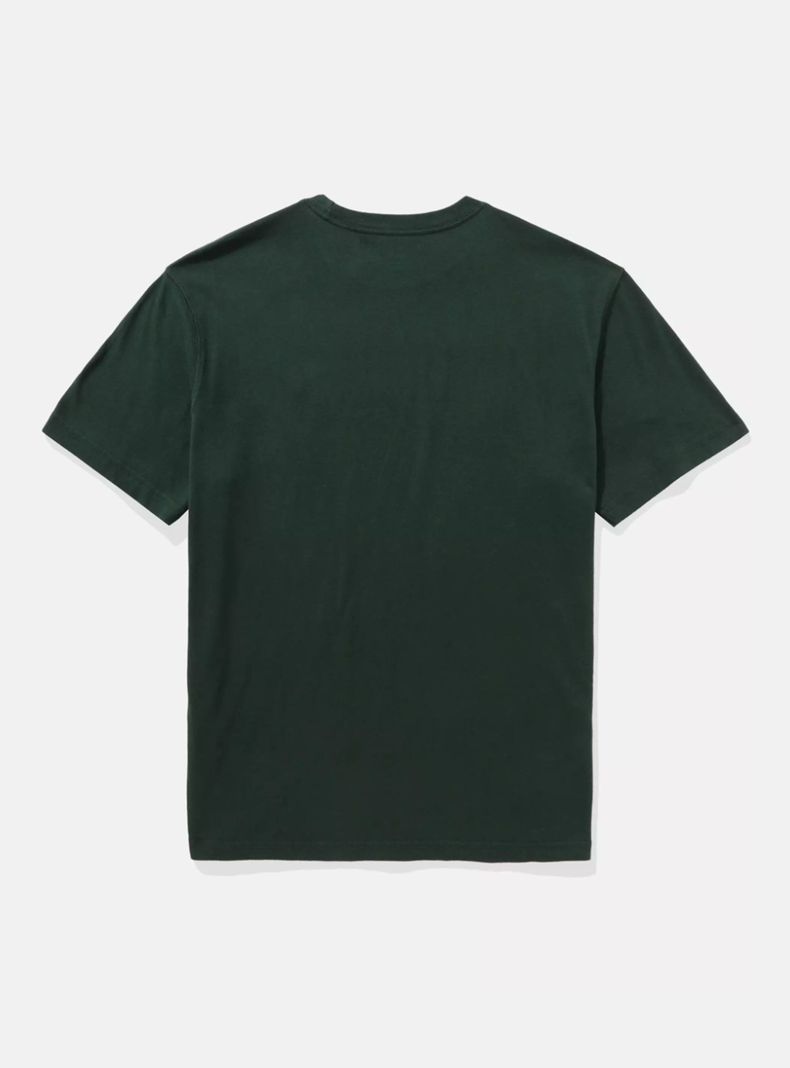 Polera Super Soft Icon American Eagle-4