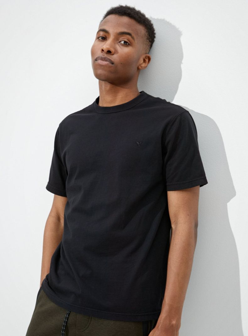 Polera AE Playera Ligera Lisa