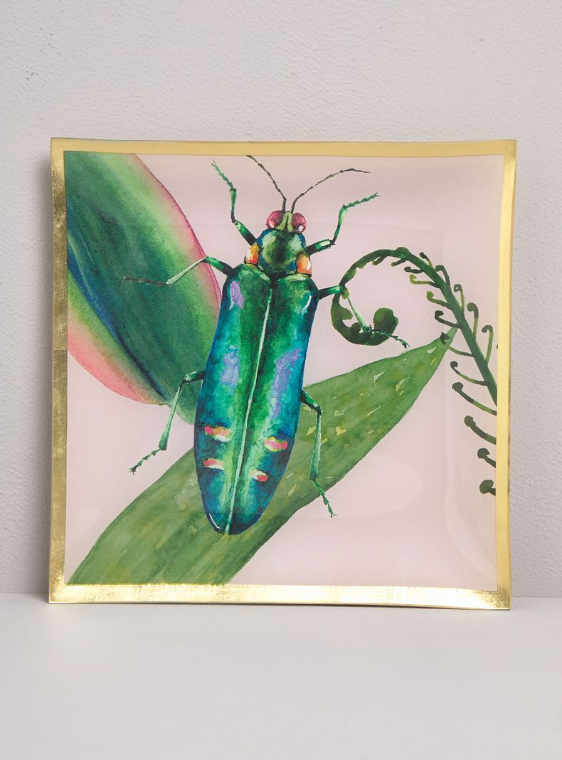 Plato Insecto 25 cm-0