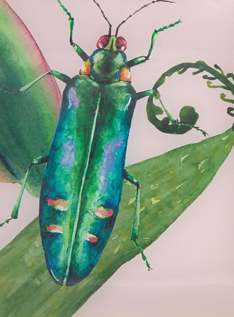Plato Insecto 25 cm-2