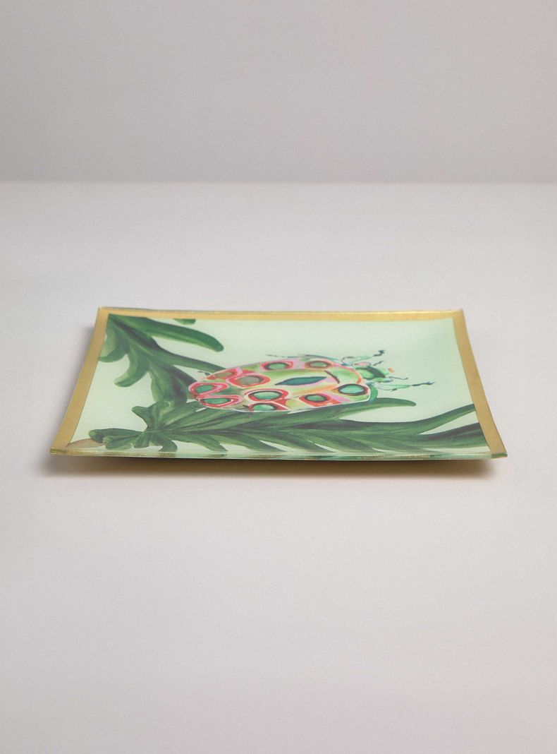 Plato Insecto 25x25 cm-1