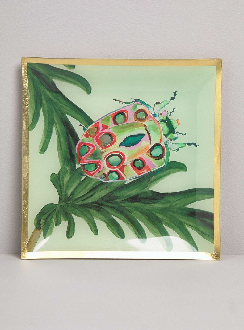 Plato Insecto 25x25 cm-0