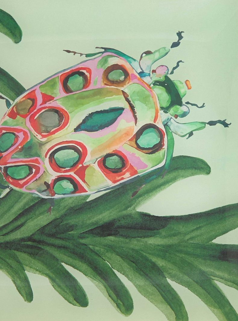 Plato Insecto 25x25 cm-2
